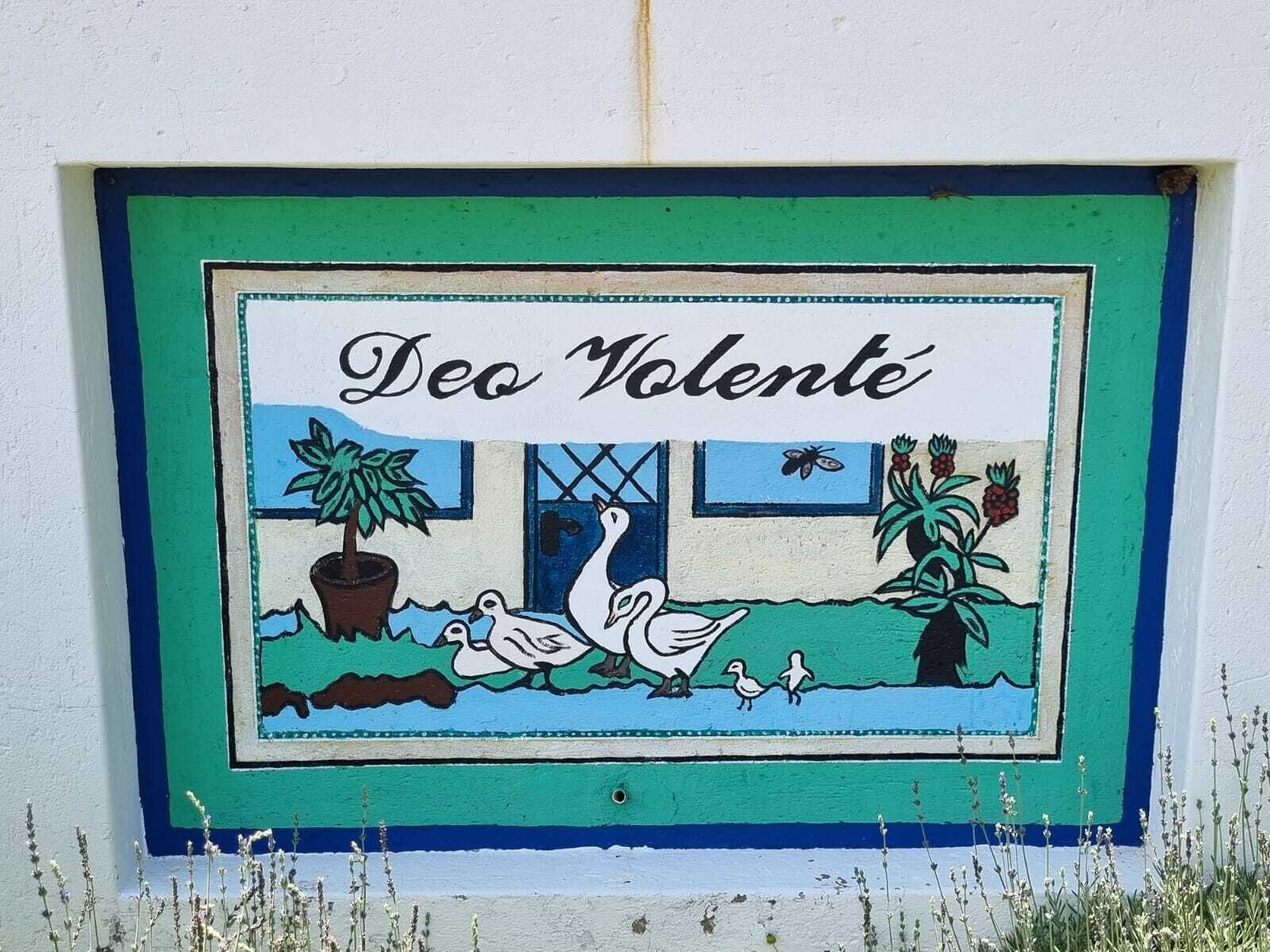 A colorful mural with the text "Deo Volente" and a scene of ducks and plants.