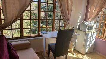 Basic Room, 1 Double Bed, Non Smoking, Bathtub | 1 bedroom, desk, laptop workspace, iron/ironing board