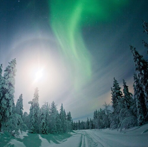 Cozy House! Located near to Arctic Circle and Santa Claus. See Northern Lights❤️