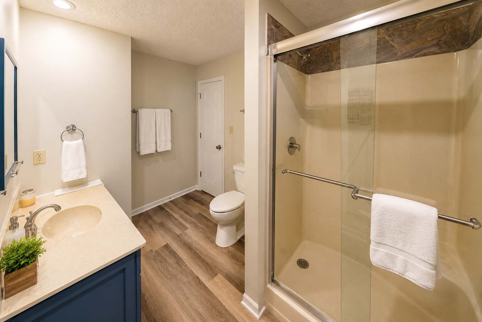 A bathroom with a glass shower enclosure, a sink with a mirror, and a toilet.