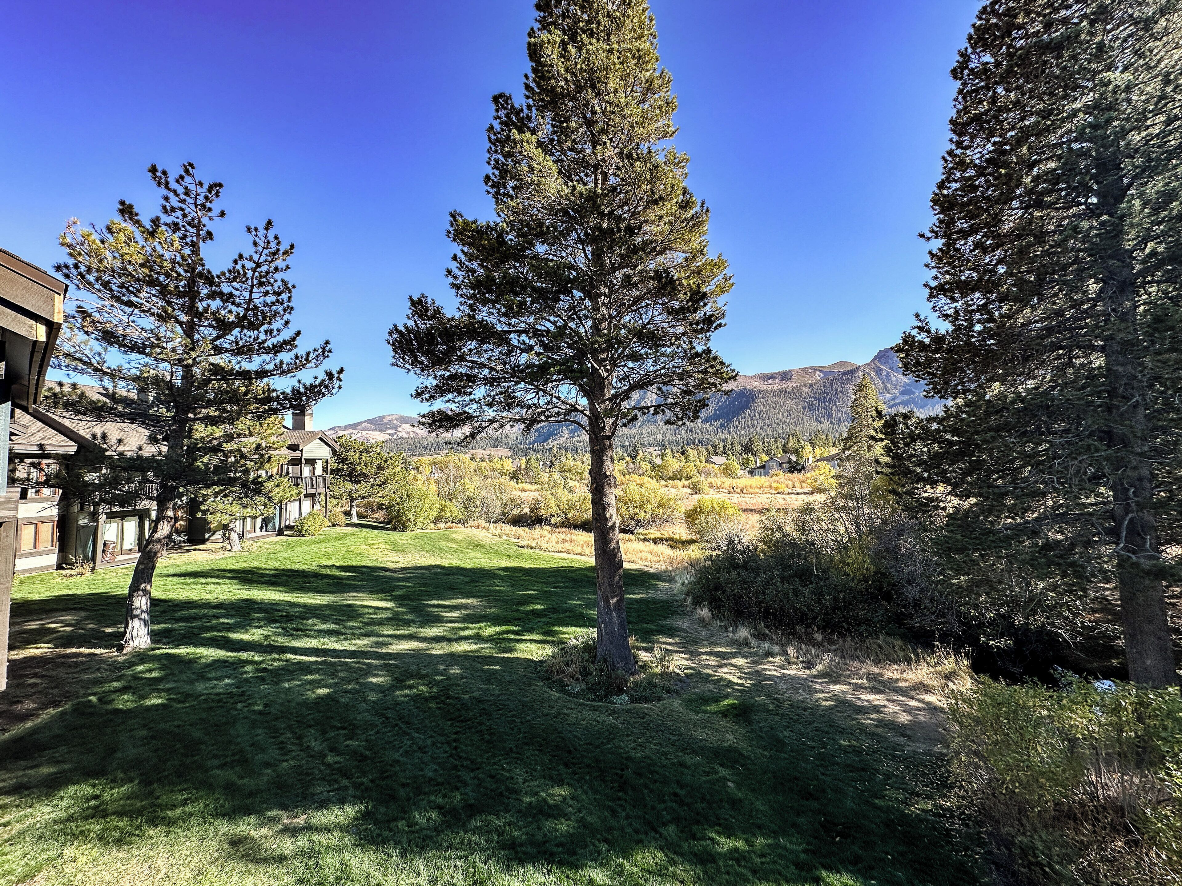 Un barrio residencial con vistas despejadas a las montañas, un césped cuidado y diferentes especies de árboles.