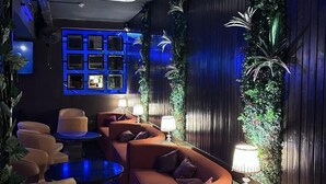 A modern lounge area with sofas, a bar area, and decorative plants. - Hotel Thor (Agra)