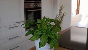 A modern kitchen with white cabinetry, stainless steel appliances, and a potted basil plant on the countertop. - Detached villa within walking distance of Foxi and Murdegu beach (Foxi Murdegu)
