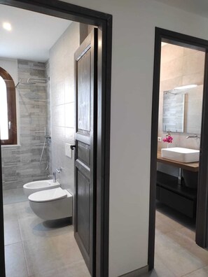 Shower, hair dryer, bidet, towels