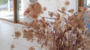 A modern interior with a white textured wall, a large mirror, and a potted plant with dried flowers. - Detached villa within walking distance of Foxi and Murdegu beach (Foxi Murdegu)