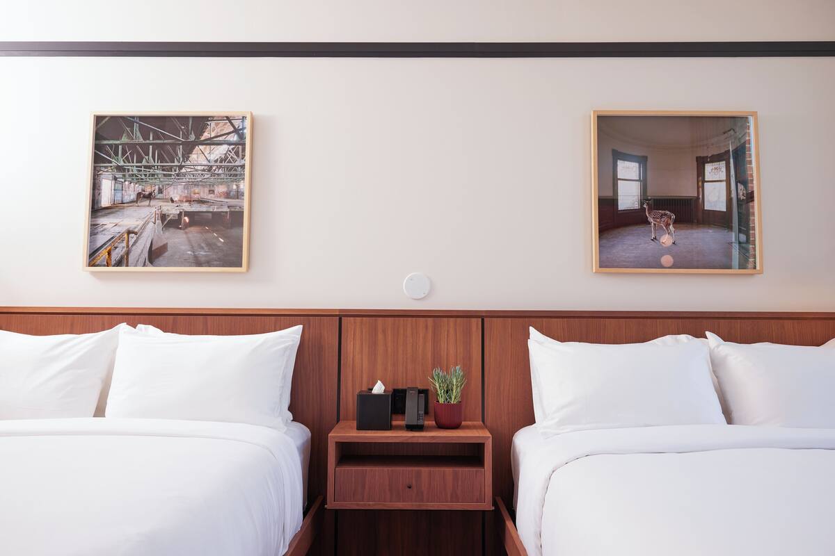 A hotel room with two beds, a wooden nightstand with a tissue box and a plant, and two framed pictures on the wall.