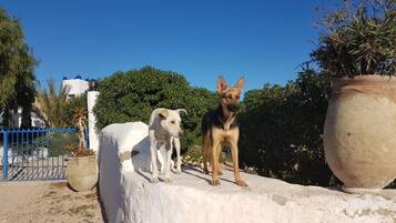 Room, 1 Bedroom, Accessible, Smoking | Property grounds