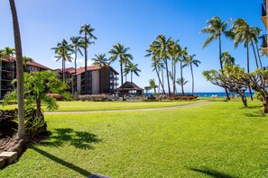 Lejlighed - 1 soveværelse | Overnatningsstedets område