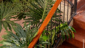 Una escalera con escalones de madera y barandillas de metal, rodeada de plantas verdes.