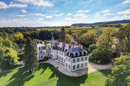 Exquisite Château de Thauvenay surrounded by Sancerre vineyards, 24 beds 23bath 