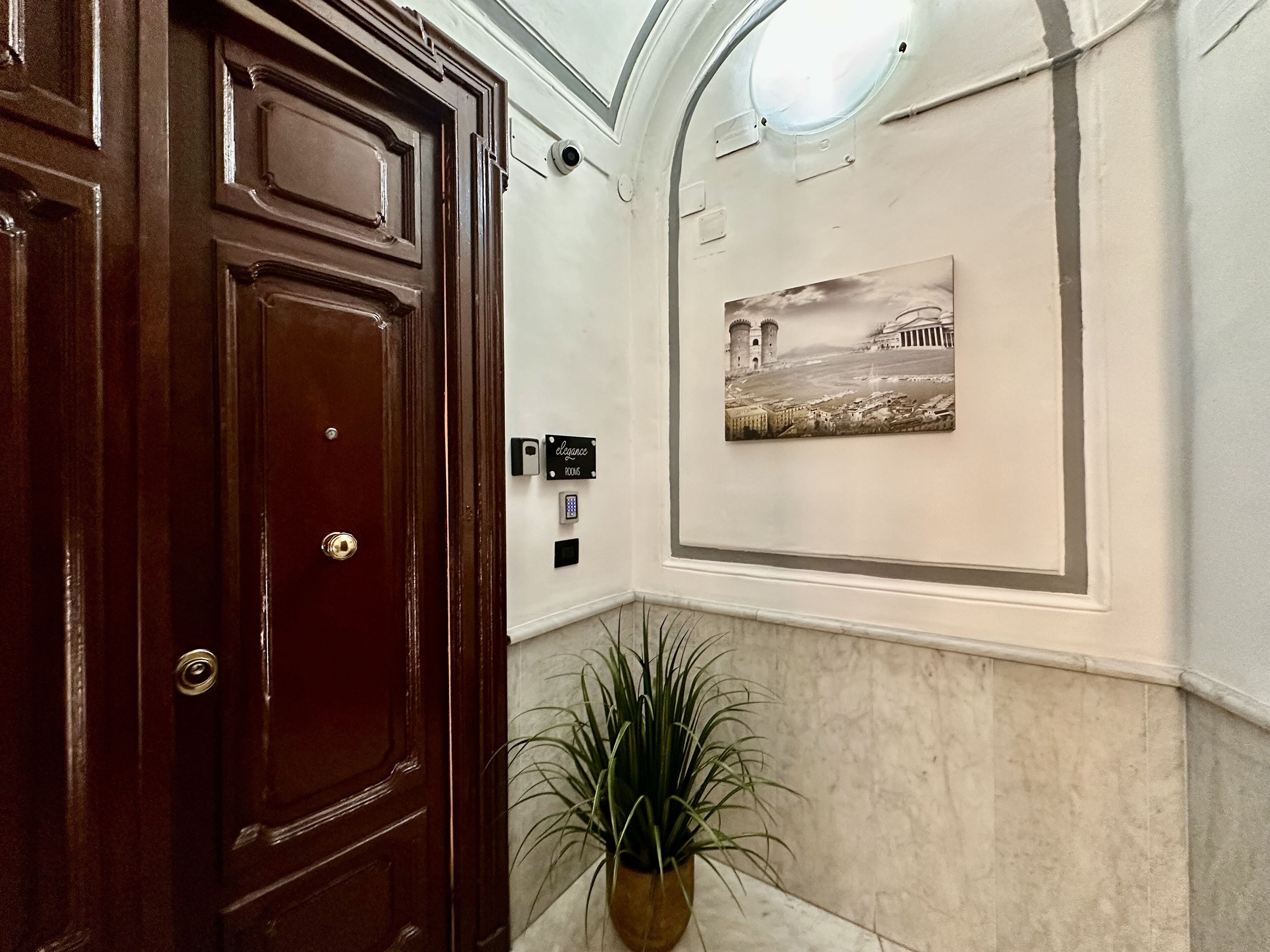 Vestíbulo de hotel con puerta de madera, planta en maceta, cámara de seguridad e imagen enmarco de un edificio histórico.