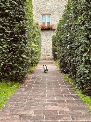 Overnattingsstedets uteområder