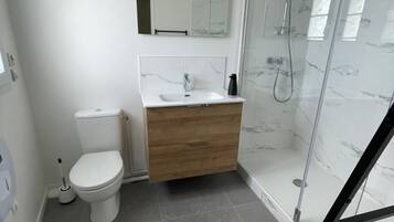 A modern bathroom with a toilet, sink, and glass shower enclosure.