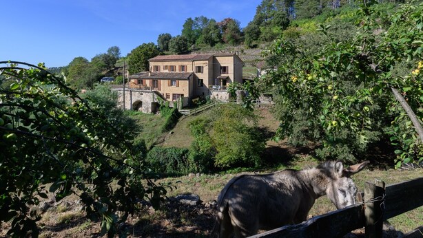 A rustic villa with a stone bridge, surrounded by lush greenery and trees.