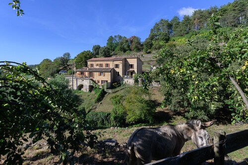 Gîte Capucine - Avec piscine partagée