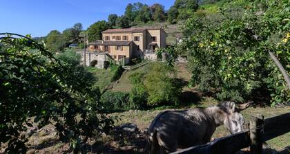 Gîte Capucine - Avec piscine partagée