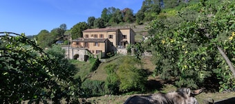 Gîte Capucine - Avec piscine partagée