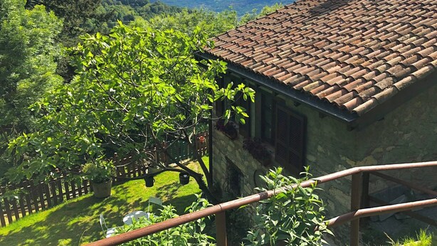A rustic house with a tiled roof, surrounded by lush greenery and a scenic view of distant hills. - RUSTIC BELLAVISTA (Caneggio)