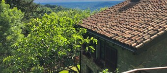 RUSTIC BELLAVISTA