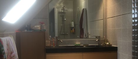 Shower, hair dryer, towels