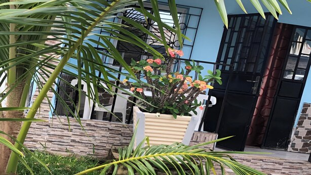 A garden area with a palm tree, a potted plant with pink flowers, and a tiled walkway leading to a building with a black gate.