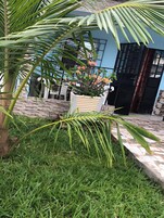 Un jardín con una palmera, una maceta con flores rosas y un sendero adoquinado que lleva a un edificio con una reja negra.
