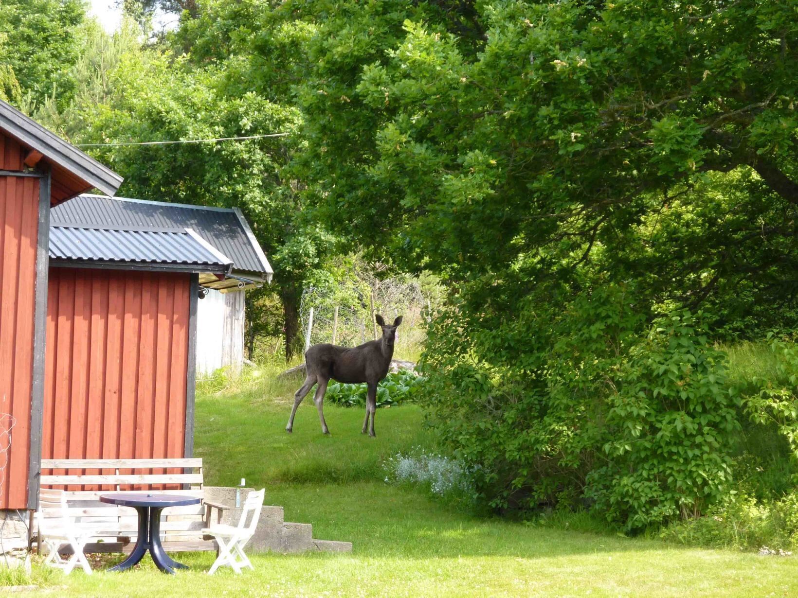 Restauration extérieure