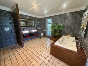 Shower, hair dryer, bidet, towels