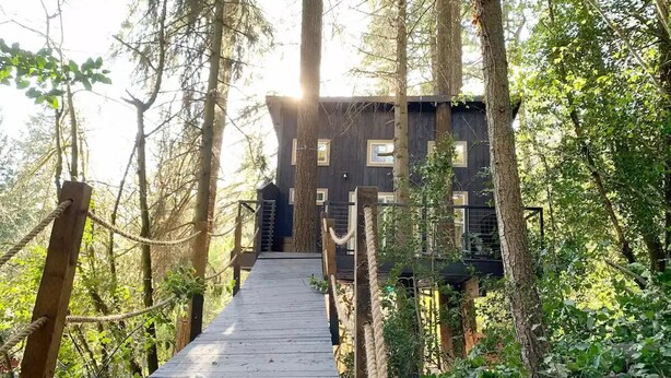 A wooden bridge leading to a cabin in a forest. - Yeti's Tree House: Where Magic Happens (Portland)