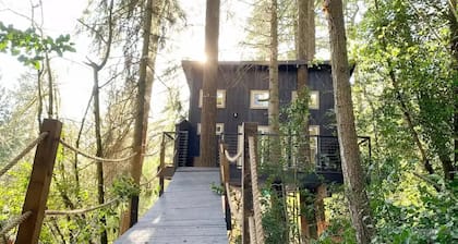 Yeti's Tree House: Where Dreams Come True