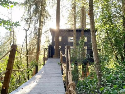 Yeti's Tree House: Where Dreams Come True