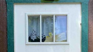 A white door with a small window and a keyhole. - Backyard Escape

 (Tampa)