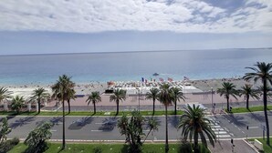 A beach view with palm trees, a parking lot, and a clear sky.