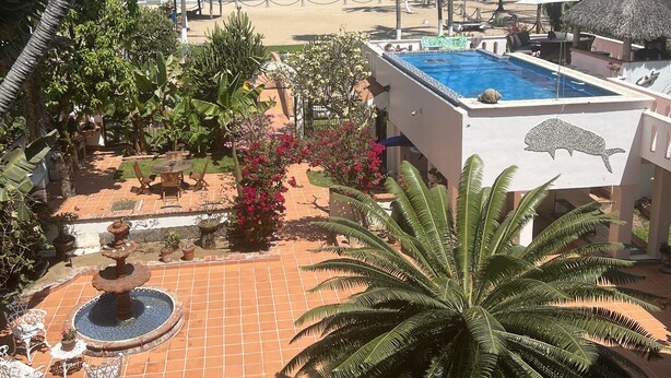 A pool area with a view of the beach and ocean, surrounded by palm trees and a thatched-roof structure.