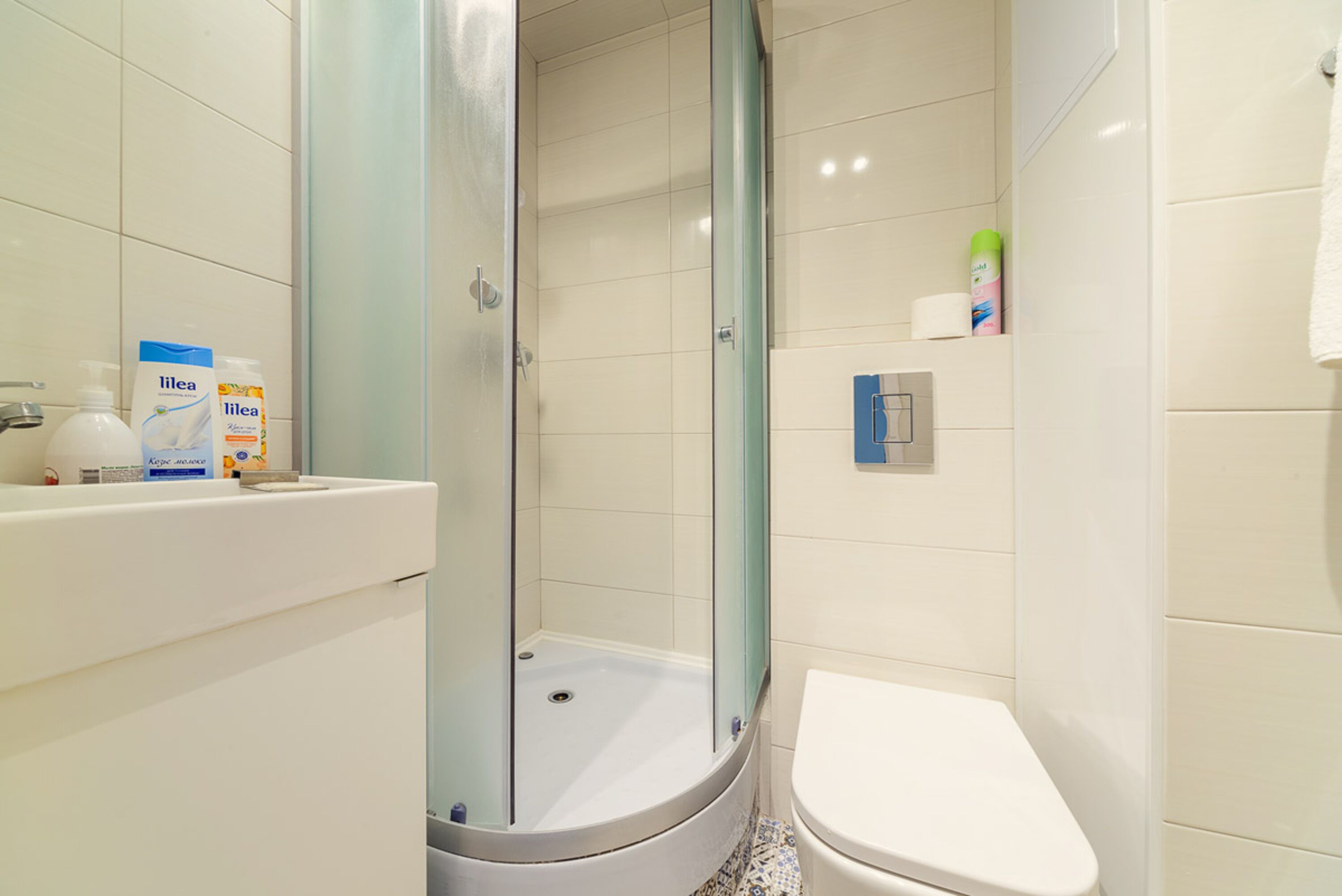 Basic Apartment | Bathroom | Shower, hair dryer, towels, soap
