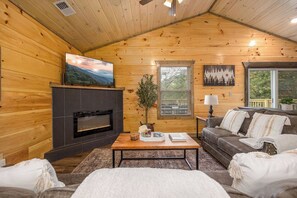 TV connectée, cheminée, livres