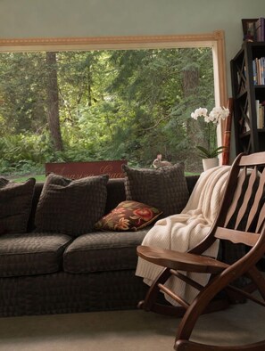 智能電視、壁爐、書籍