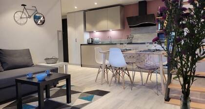 Cosis Colmar - 2 bedrooms - Duplex - Parking