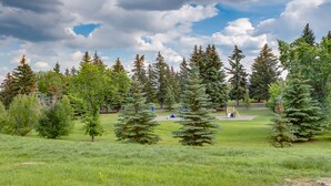 Un parc avec des arbres, de l’herbe et des jeux pour enfants.