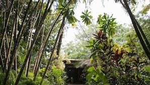 Un camino de piedra que lleva a una edificación con techo de paja, rodeada de exuberante follaje tropical.