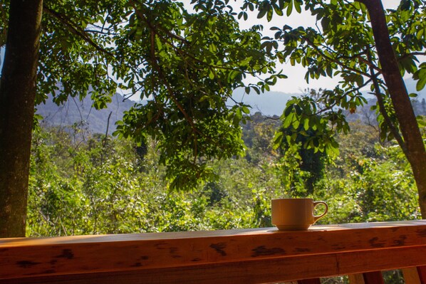 A wooden bench with a cup in a natural setting.