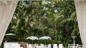 Zona de piscina con sillones blancos y sombrillas, rodeada de abundante vegetación.
