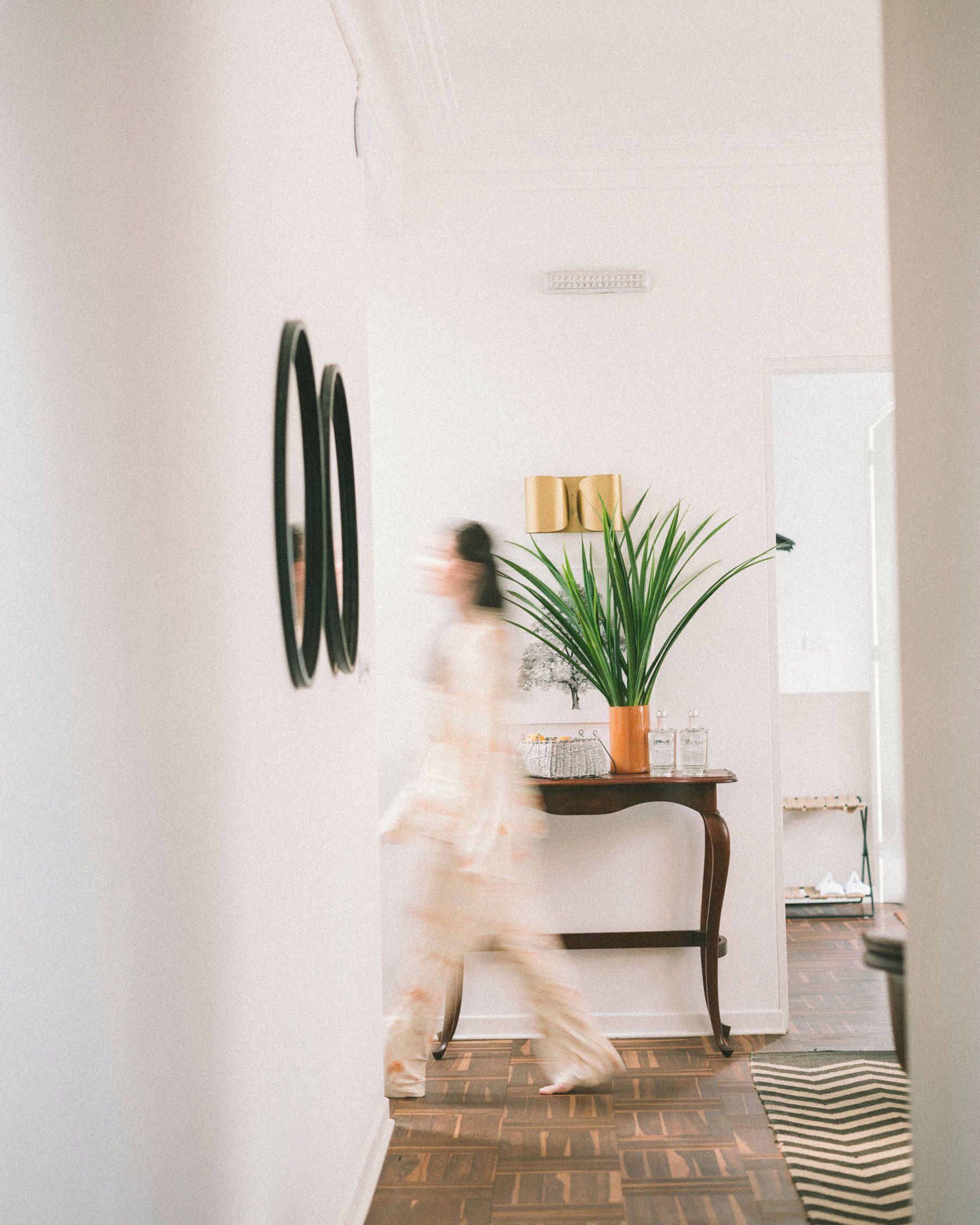 Photo - Fausto by Andean