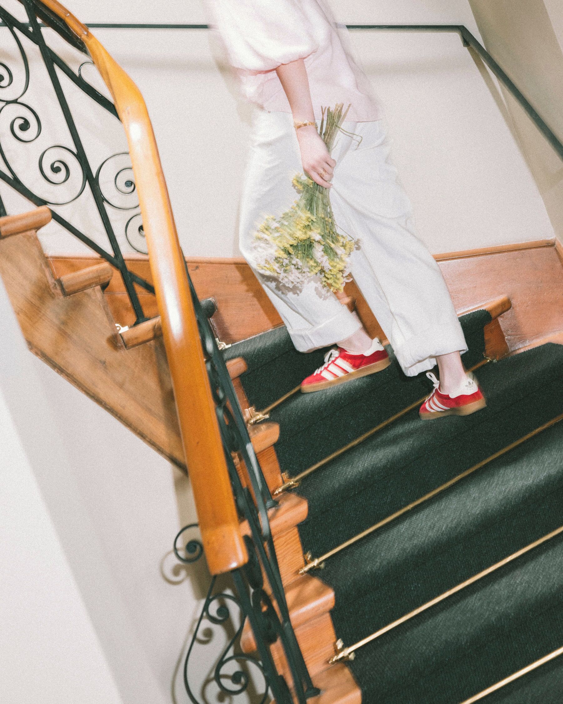 Photo - Fausto by Andean