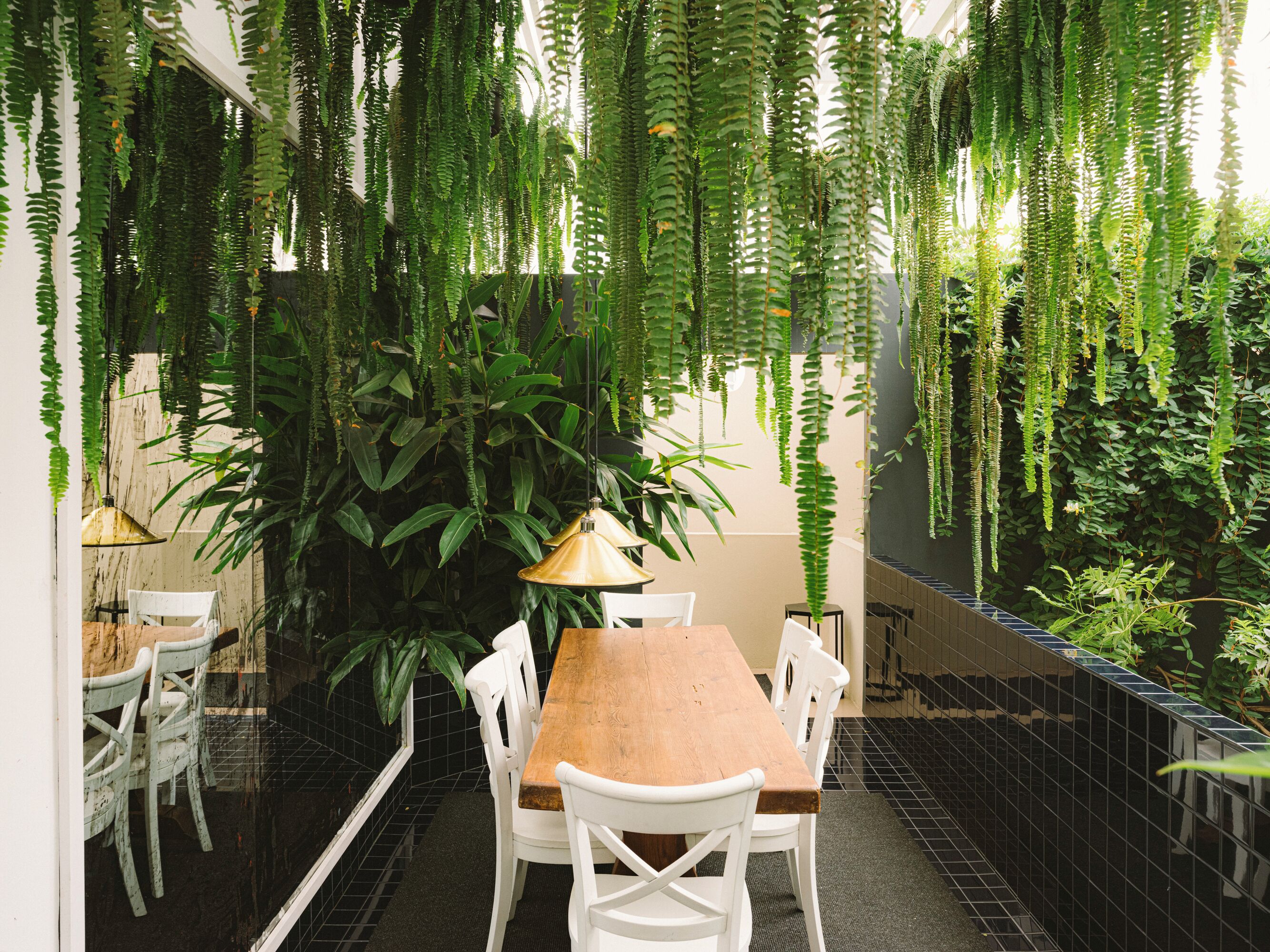 Un comedor con una mesa de madera y sillas blancas, rodeado de helechos colgantes y plantas.