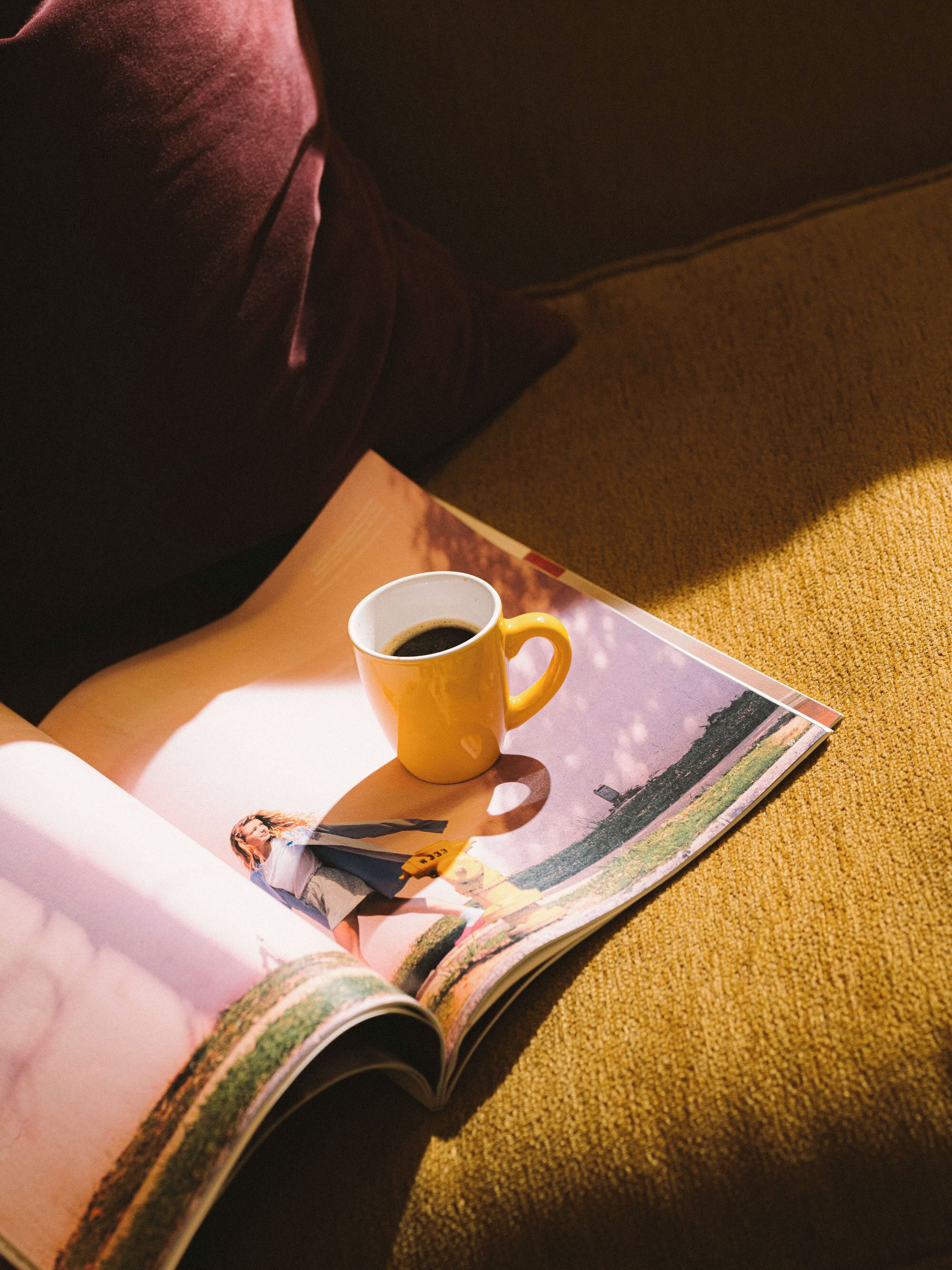 Photo - Fausto by Andean