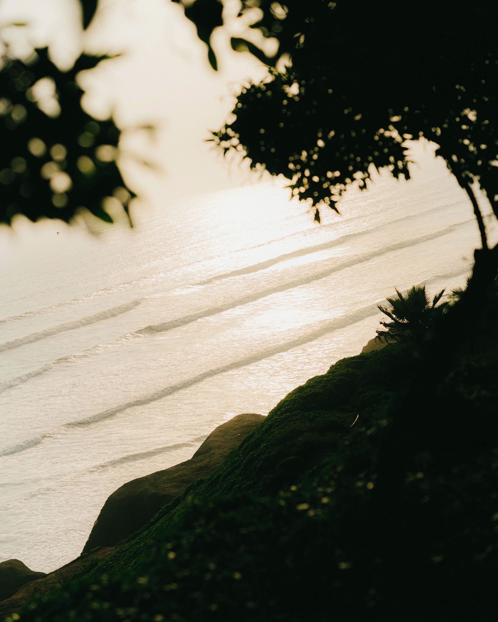 Photo - Fausto by Andean