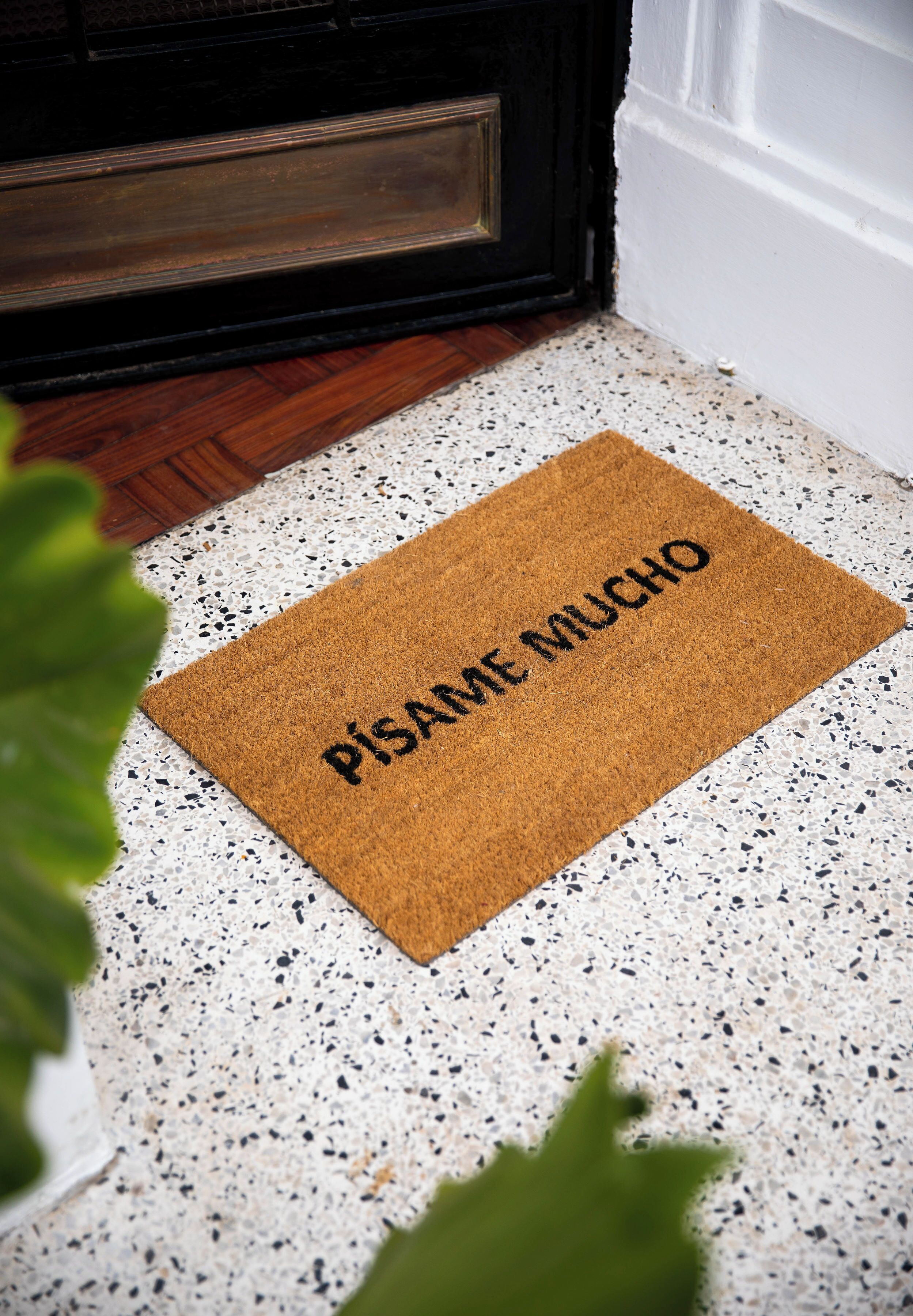 Photo - Fausto by Andean