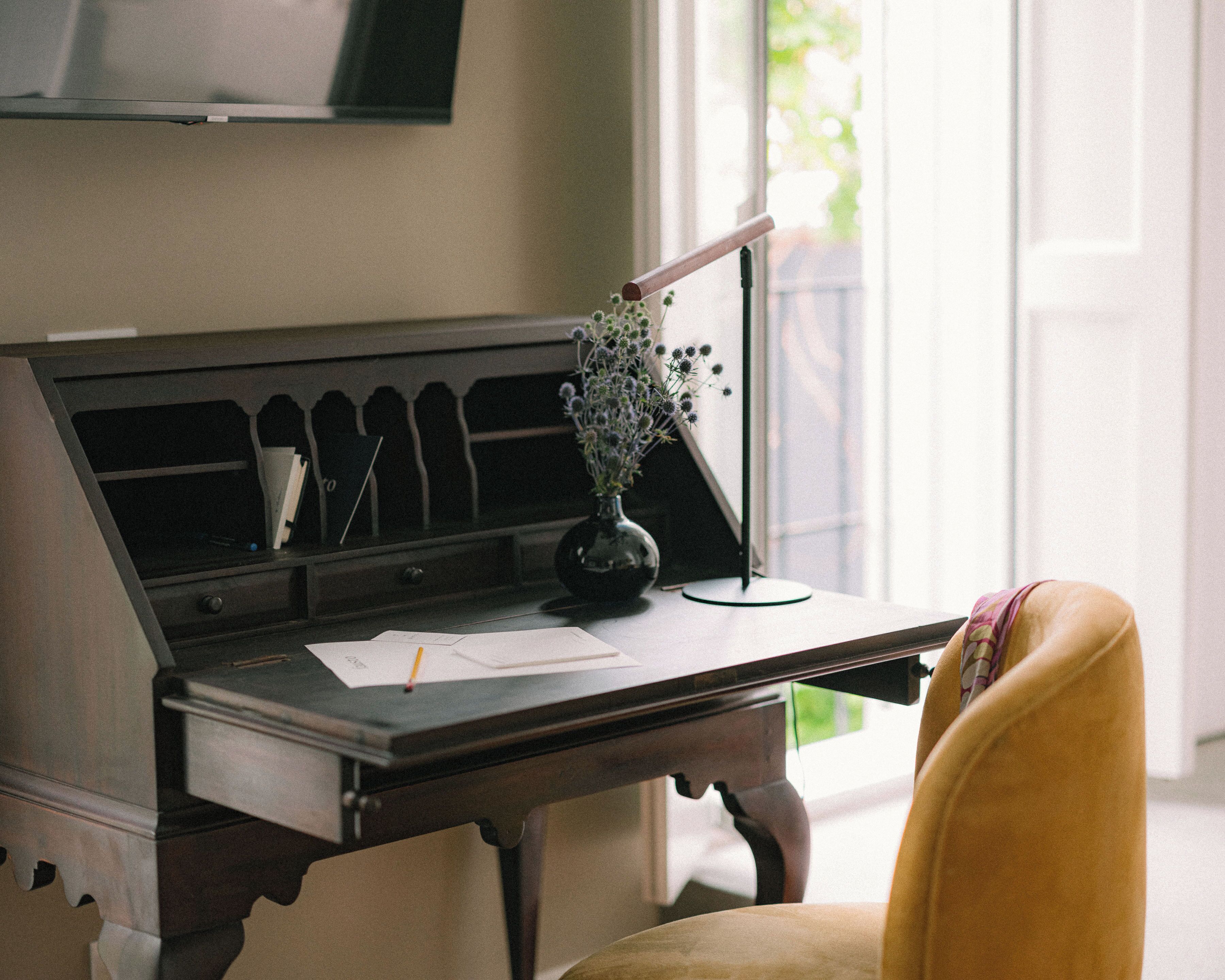 Photo - Fausto by Andean