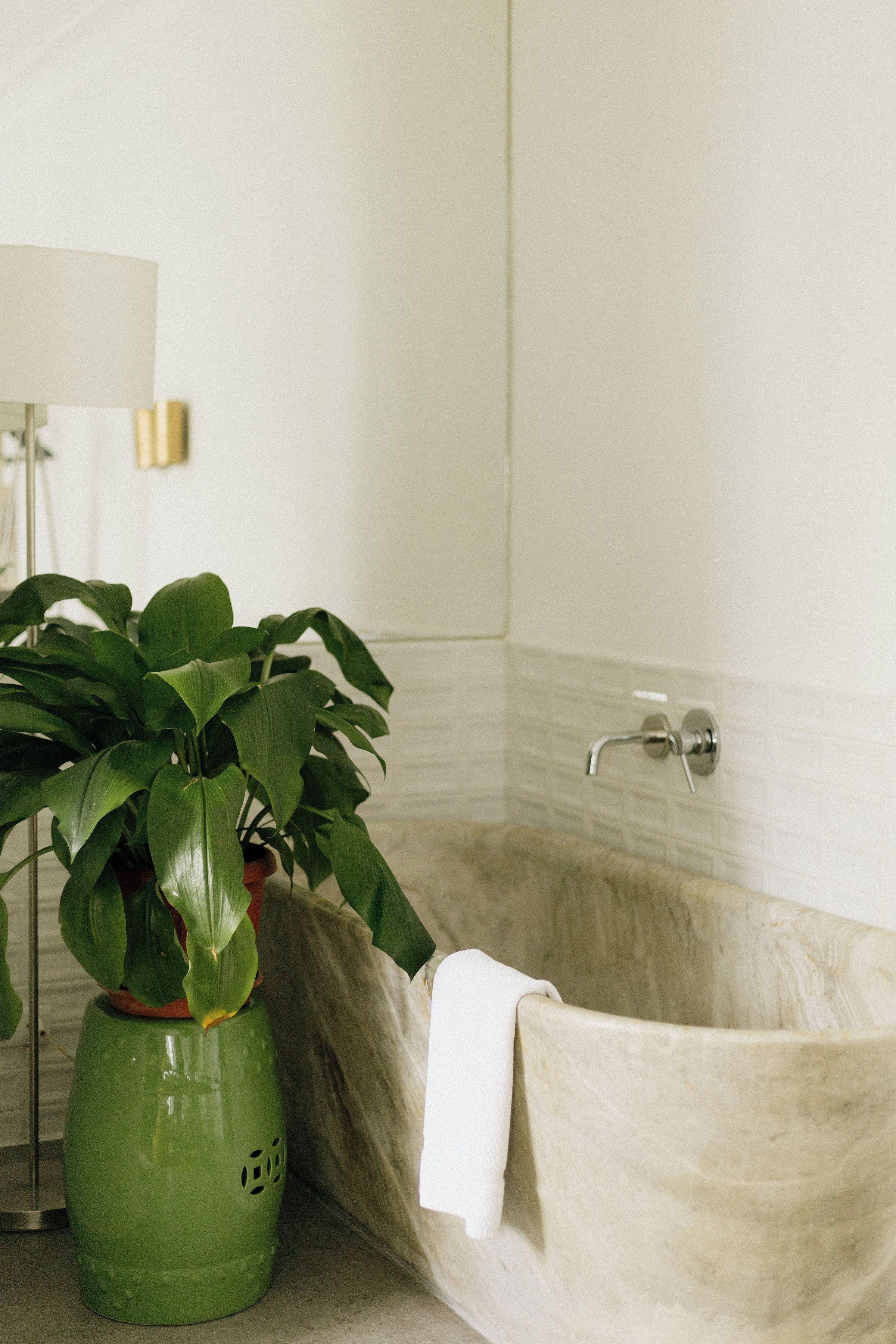 Photo - Fausto by Andean